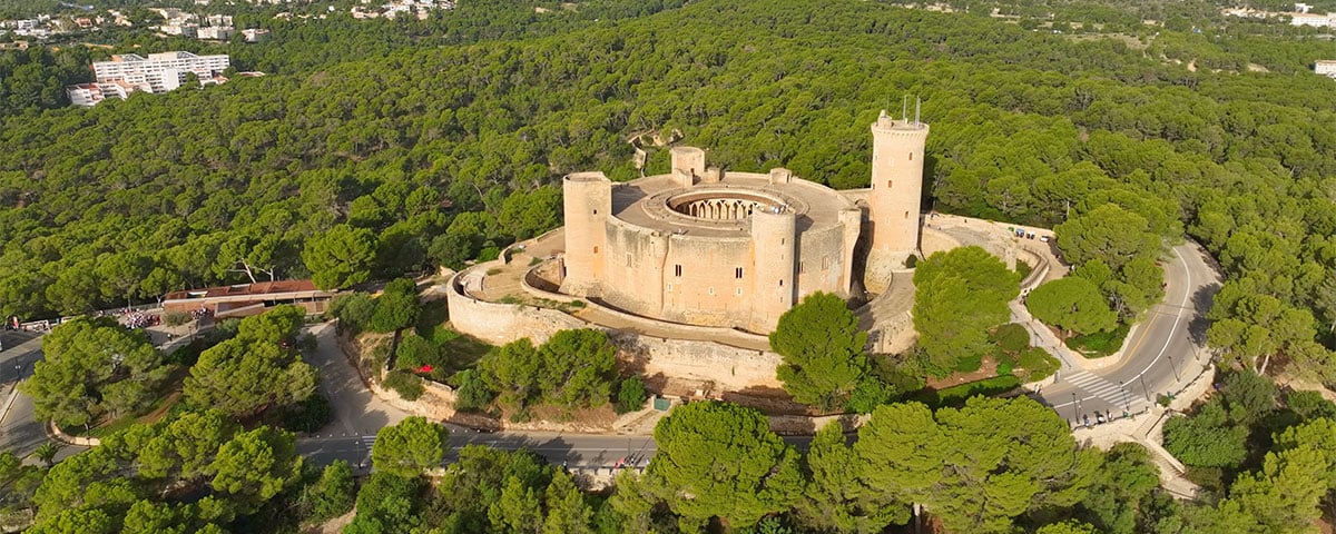 Bienvenido al corazón verde de Palma