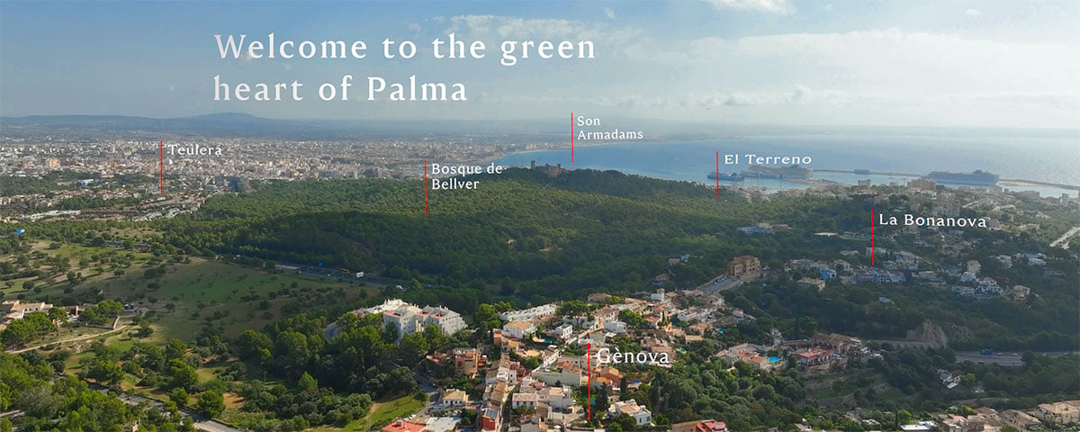 Green Heart of Palma